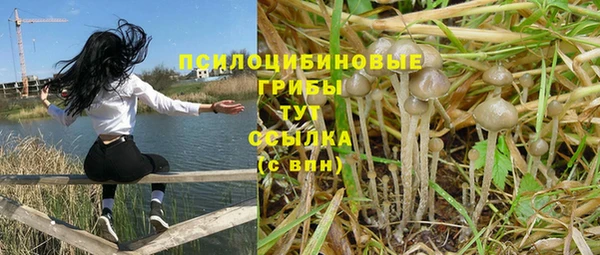 амф Балахна