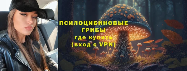 амф Балахна