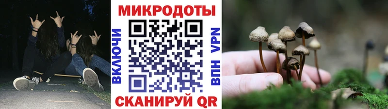 Галлюциногенные грибы MAGIC MUSHROOMS  Афипский 